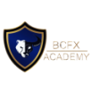 BCFX Academy